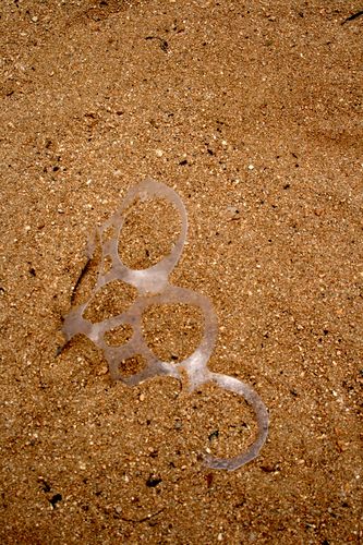 http://commons.wikimedia.org/wiki/File:Plastic\_left\_in\_the\_sand\_near\_the\_Hilton\_Hawaiian\_Village.\_.jpg